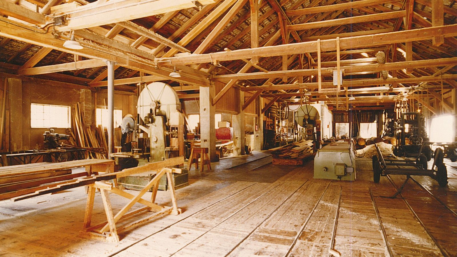 Storia commercio legnami Plunger (segheria)