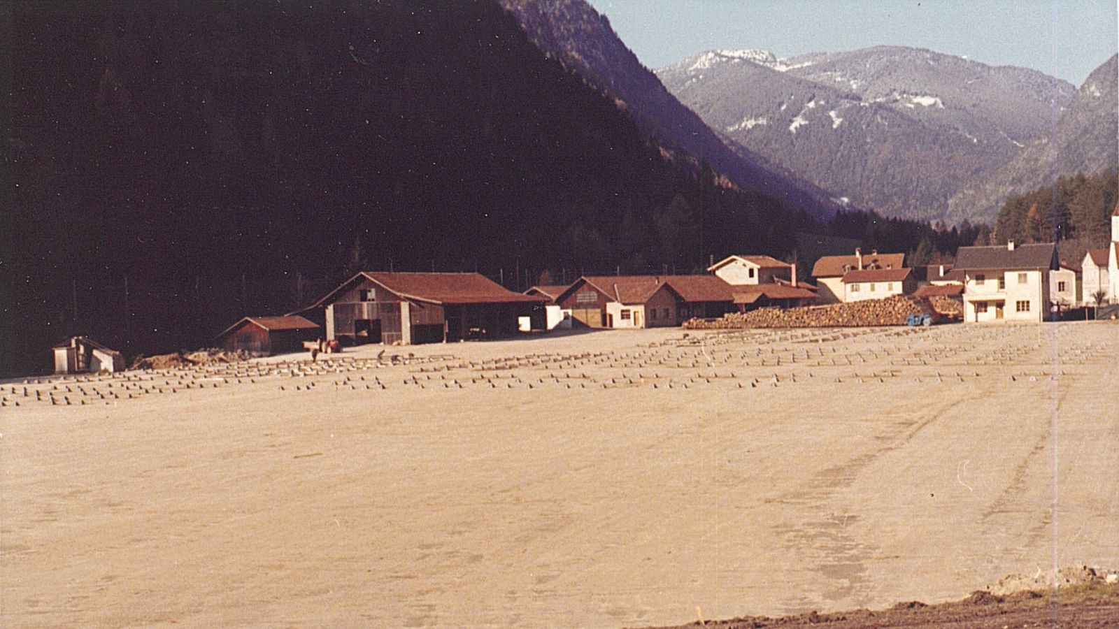 Storia commercio legnami Plunger (segheria)