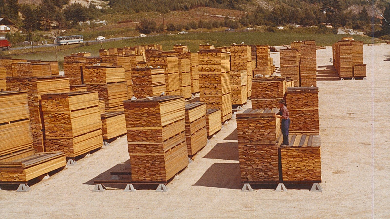 Storia commercio legnami Plunger (segheria)