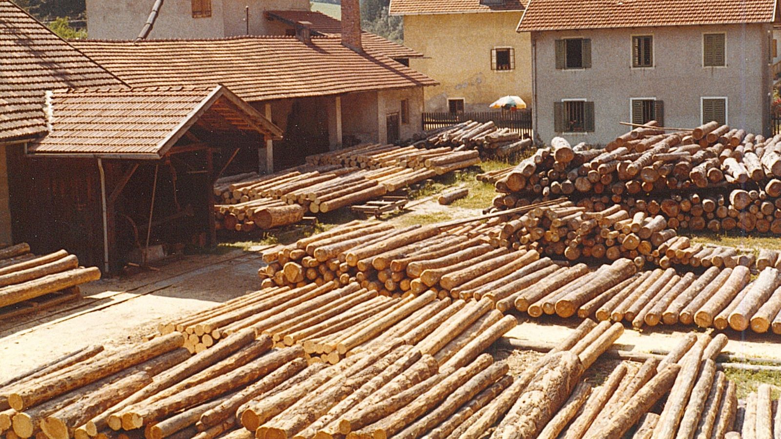 Storia commercio legnami Plunger (segheria)