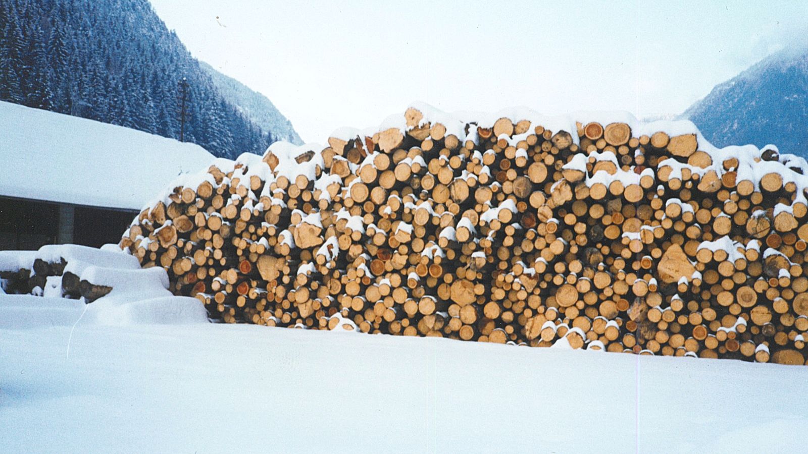 Storia commercio legnami Plunger (segheria)