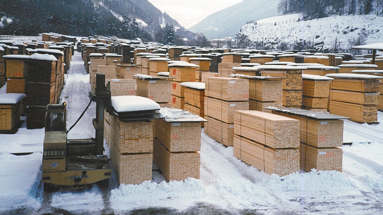 Storia commercio legnami Plunger (segheria)